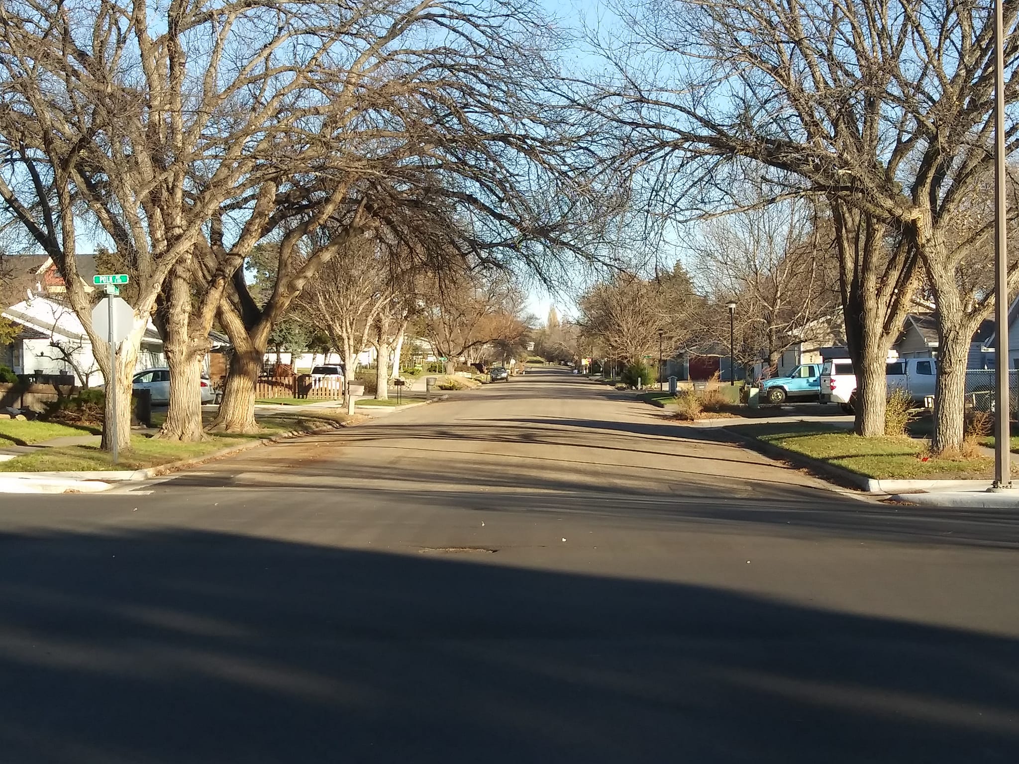 Ordinance Change To Increase Height For Branches Over Streets Approved By Pierre City Commission