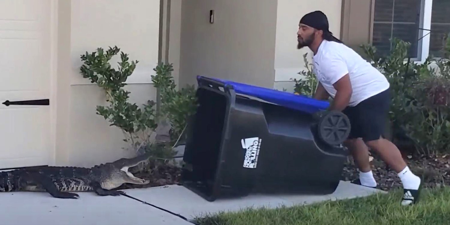 Florida man captures alligator in garbage bin