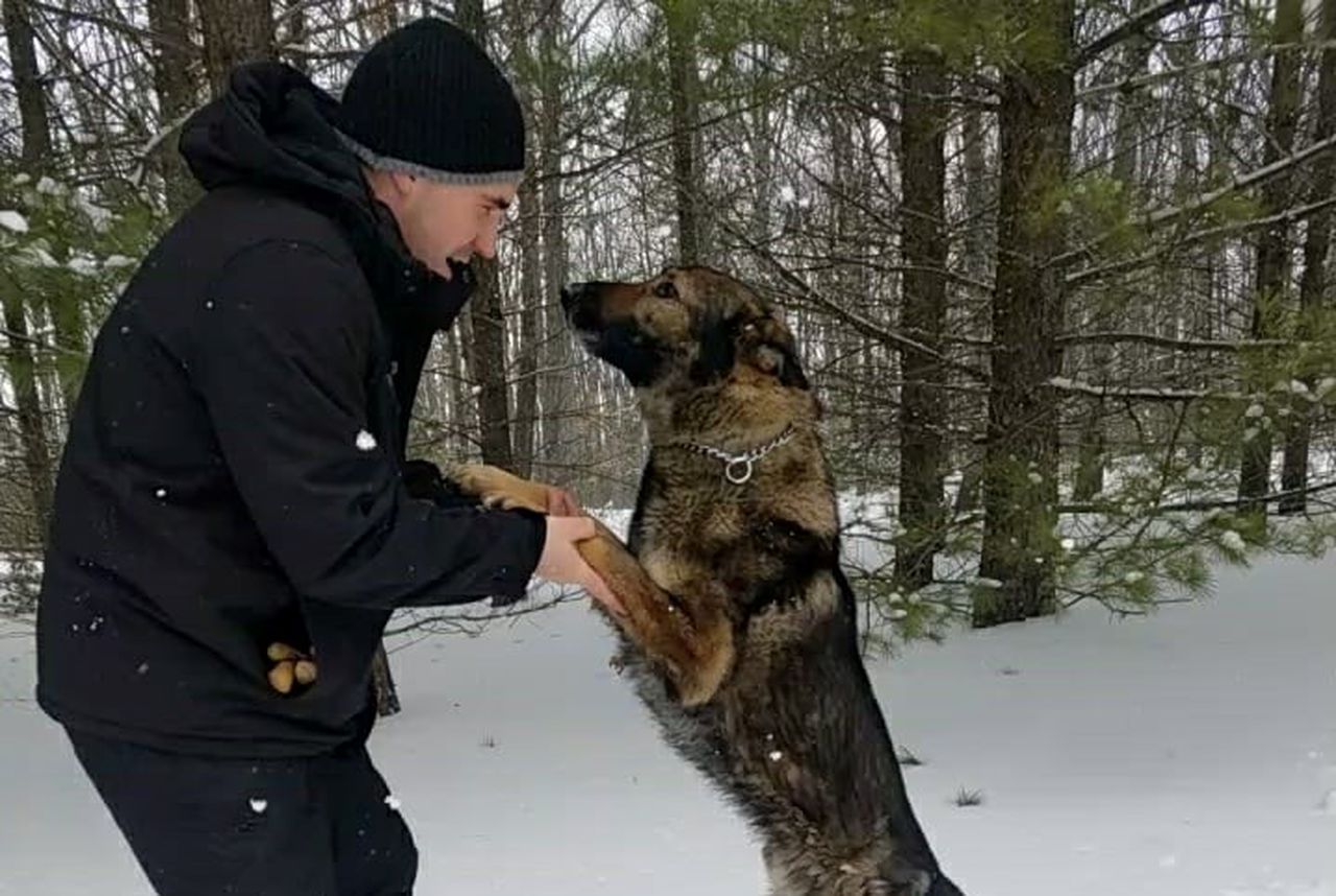 Police K9 rescues man missing in freezing Northern Michigan woods