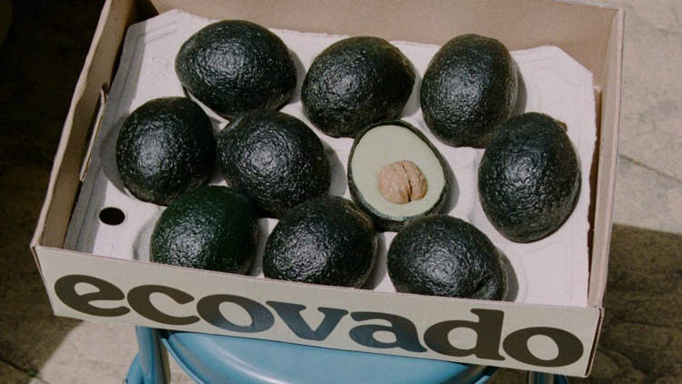 Ecovado – The Environmentally-Friendly Fake Avocado You Probably Didn’t Know About