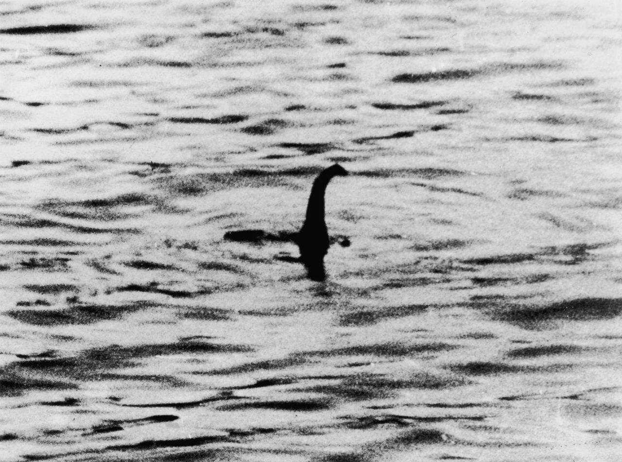 Loch Ness monster fans prepare for biggest creature hunt for 50 years