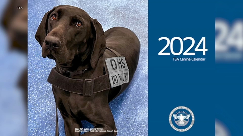 TSA’s 2024 canine calendar will melt your travelin’ heart