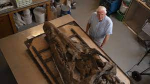 Gigantic skull of prehistoric sea monster found on England’s ‘Jurassic Coast’