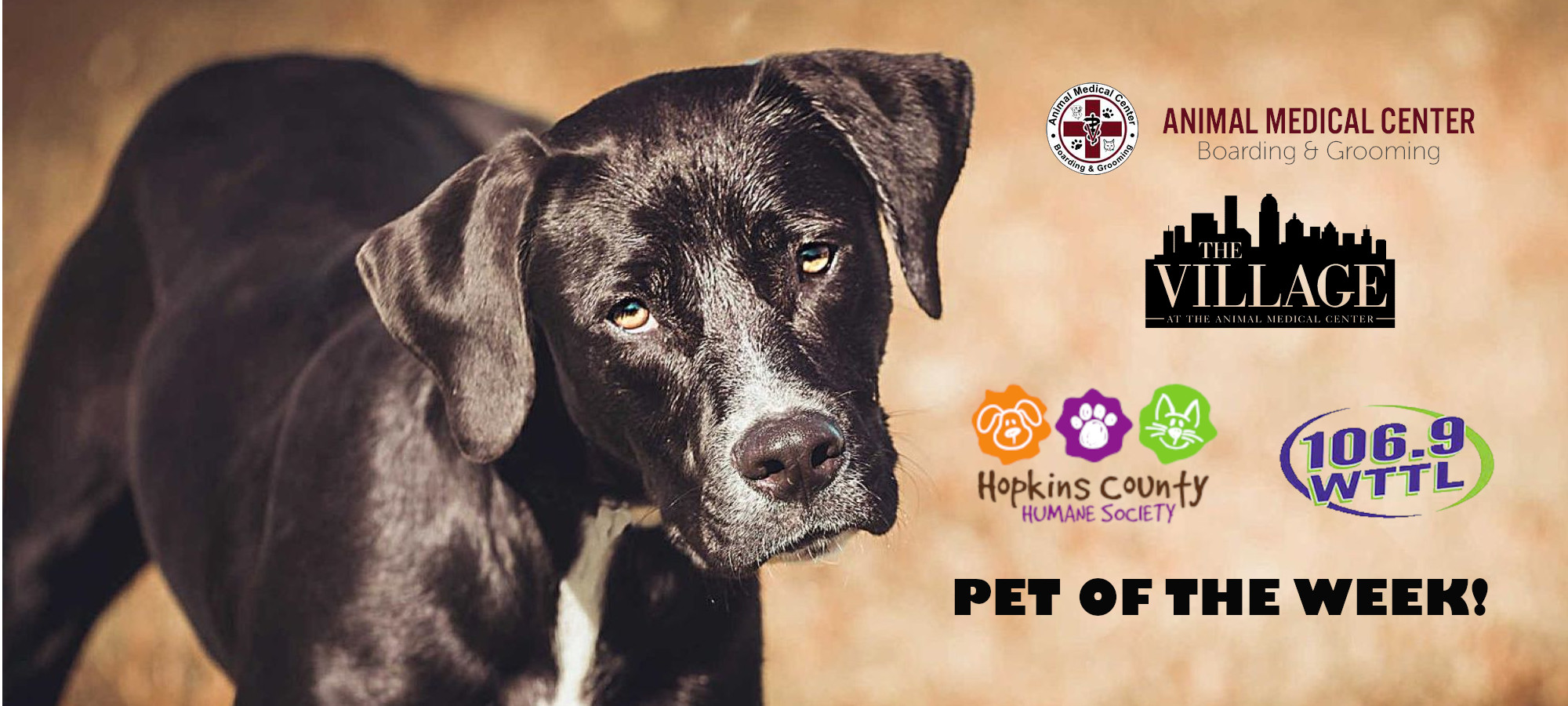 Hopkins County Humane Society’s Pet of the Week Monday, May 27