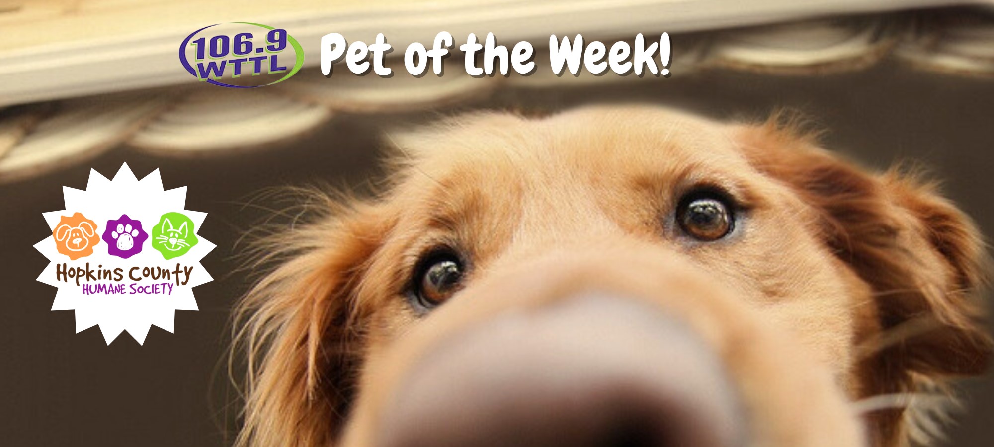 Hopkins County Humane Society’s Pet of the Week Monday, July 1