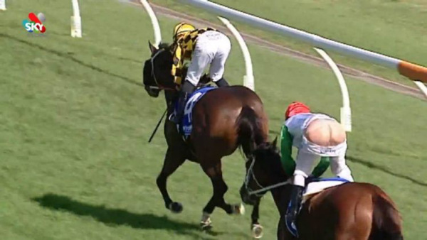 No te Rias !! Podria pasarte a ti!! Video – Se le caen los calzones al jockey en plena carrera