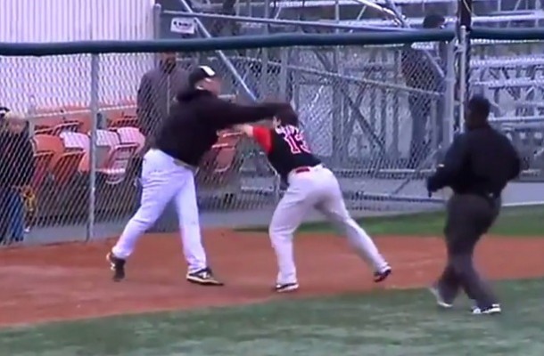 Gran pelea entre Managers en un partido de beisbol