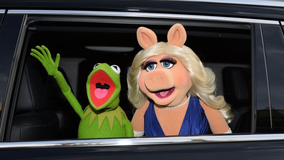 El más reciente divorcio en Hollywood: la Rana René y Miss Piggy se separan