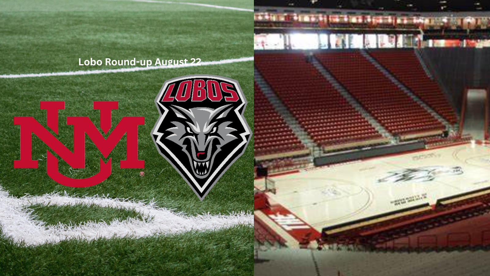 Lobo Round-up: MW Honors and a new Transfer