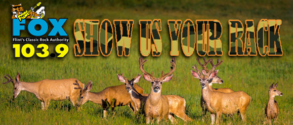 Show Us Your Rack – 2018 Winners