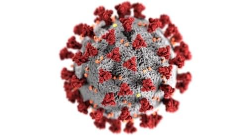 Cornonavirus Resources