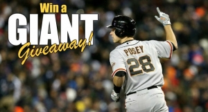 San Francisco Giants Flyaway