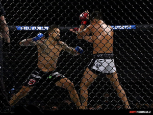 PHOTOS: Bellator 279