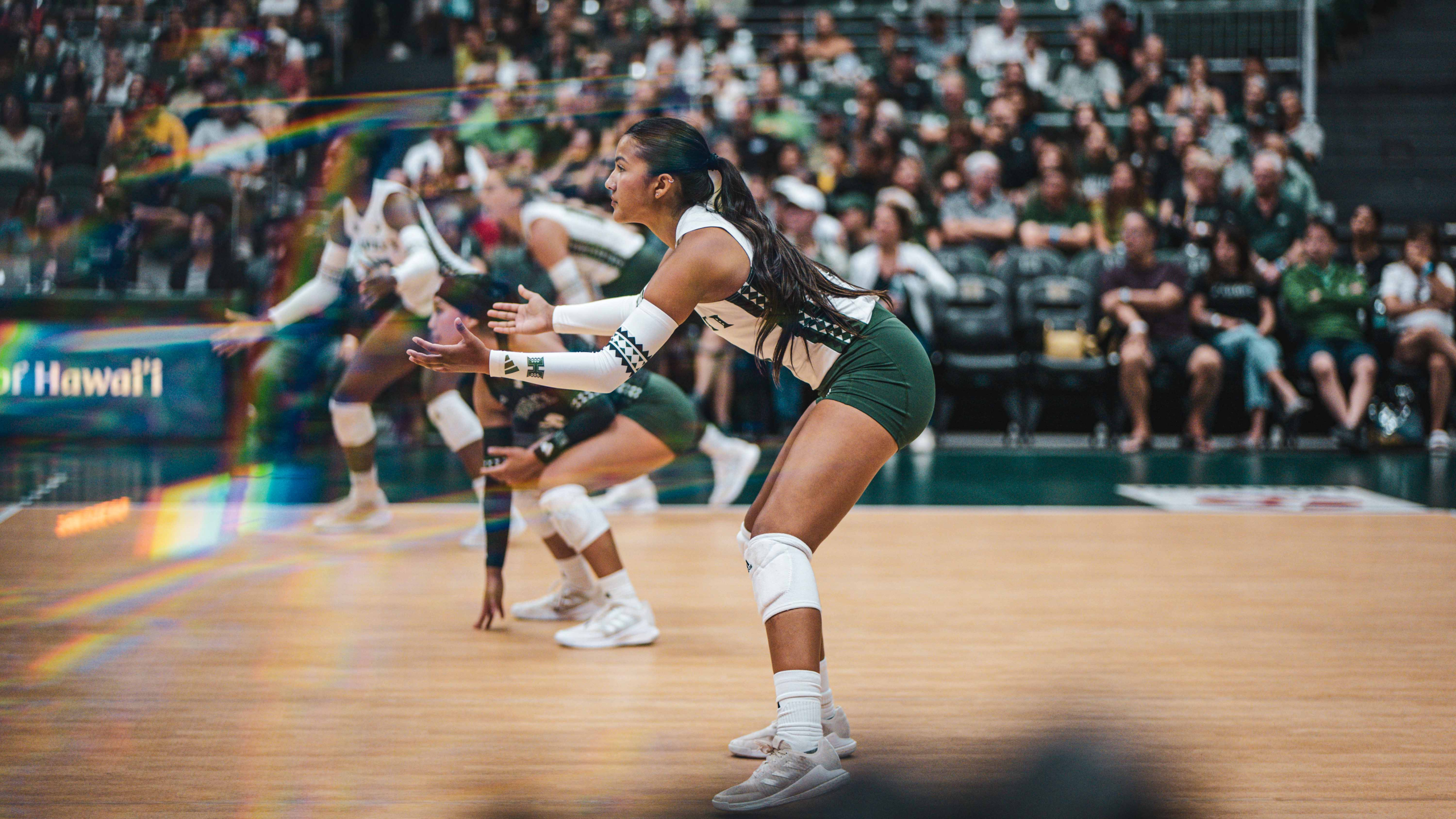 Week 3 | 6 takeaways for Rainbow Wahine Volleyball 2024