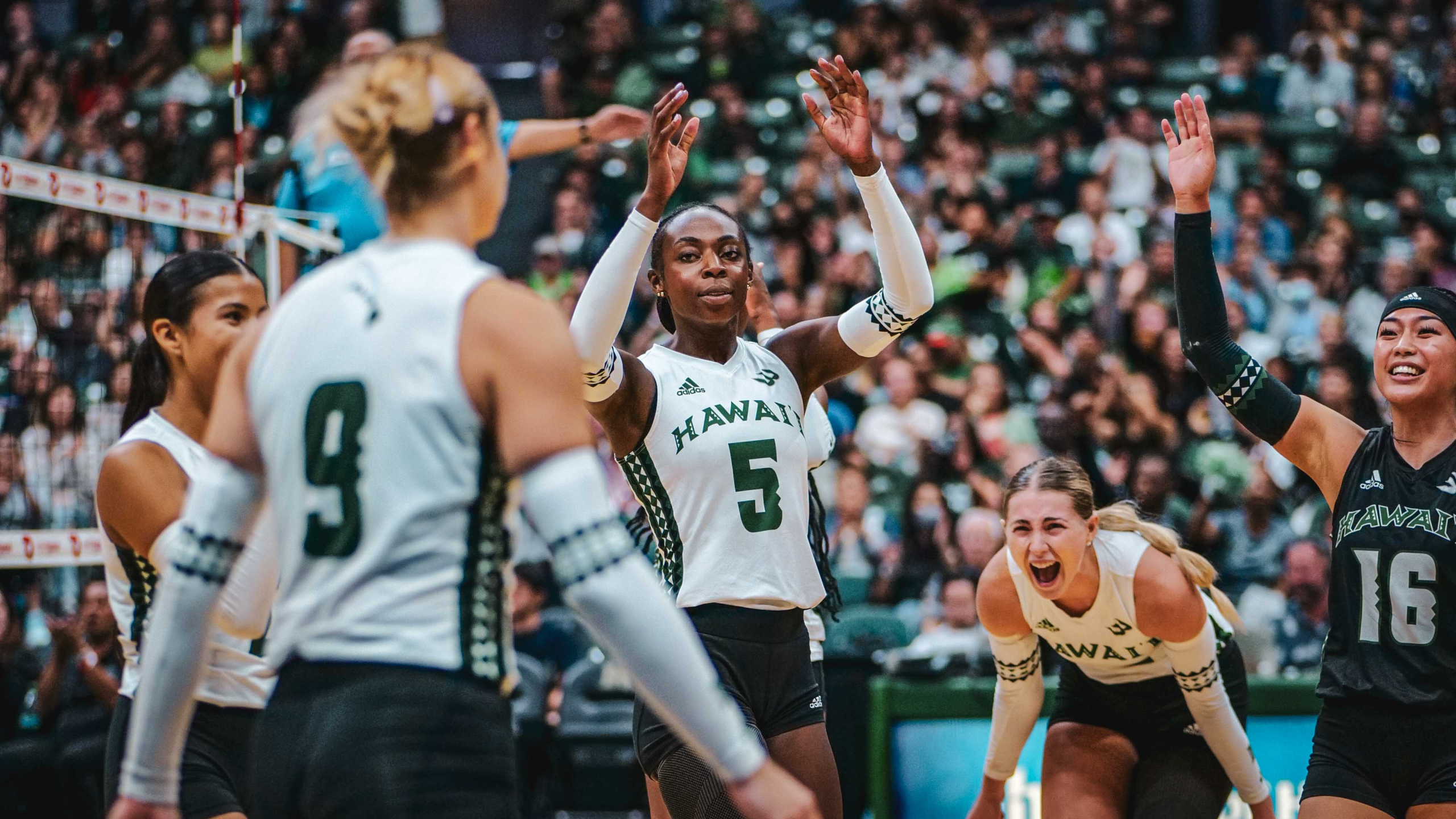 Week 7 | 6 takeaways for Rainbow Wahine Volleyball 2024