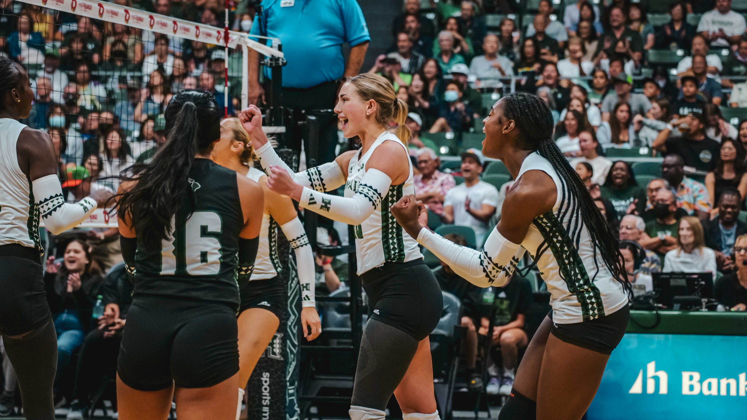 Week 8 | 6 takeaways for Rainbow Wahine Volleyball 2024