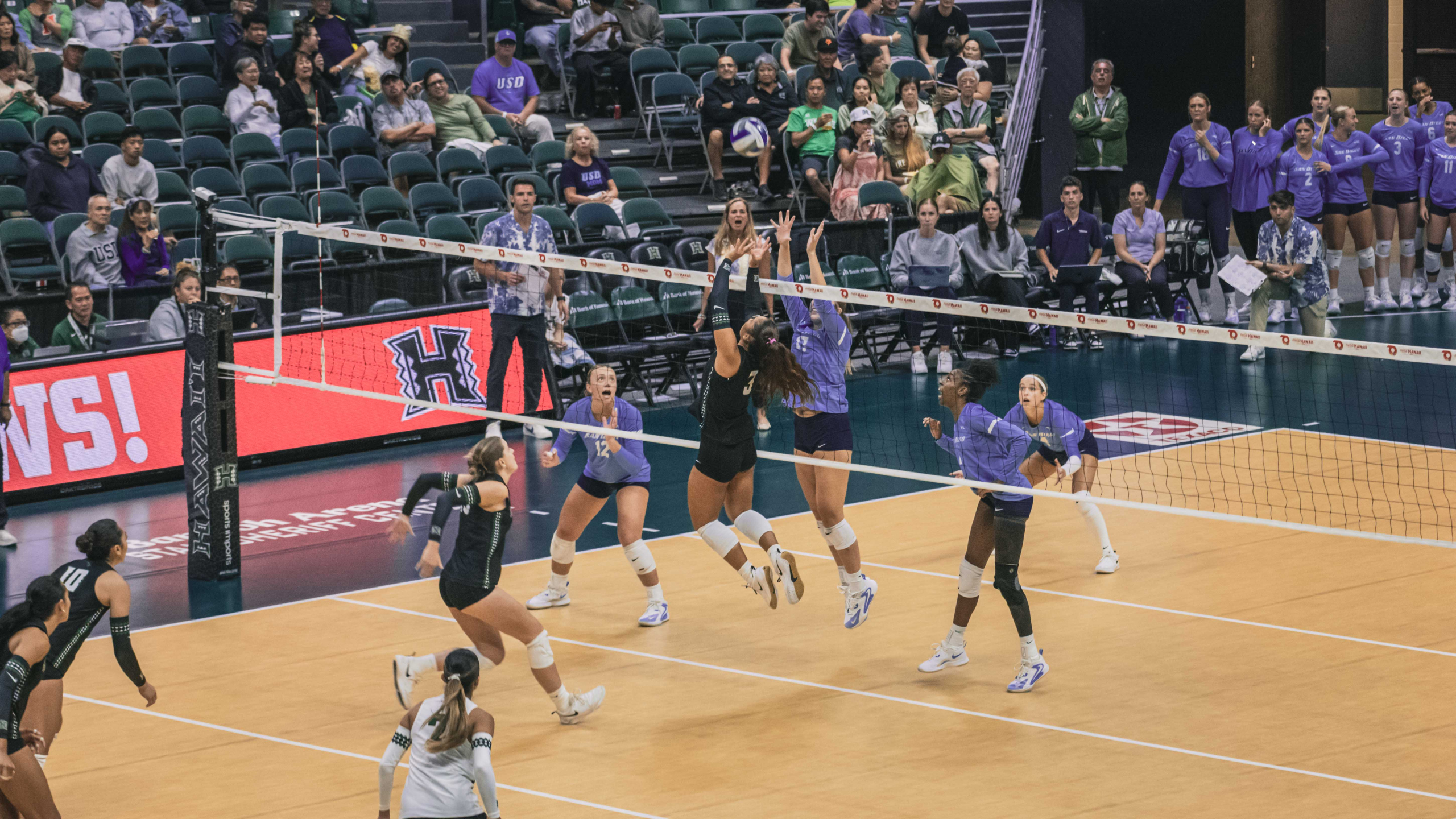 Tiff’s takeaways for Rainbow Wahine Volleyball 2025 | Week 3