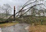 Thursday evening Severe Weather causes damage in Northwest Georgia