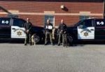 Gordon Sheriff’s K9 ‘Deputies’ recognized for outstanding work