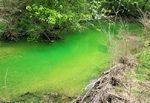 Fluorescent green dye in Cherokee AL not Hazardous