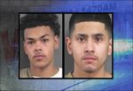 Shooting incident near Dews Pond results in six arrests