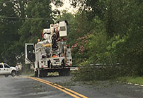 [Watch] Severe Weather Damage on Burnett Ferry Road and also Coosa area