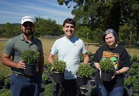 GNTC to host Fall Mum Sale, Sept. 16-19