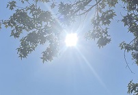 Red Cross issues advice to stay safe during extreme heat