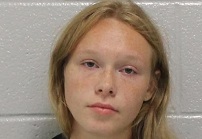 17-year old charged in February murder of mother, stepfather in Carroll County