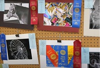 2026 Coosa Valley Fair Photography winners