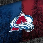 The Avalanche Fan Fest