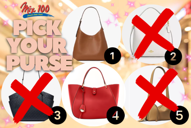 Pick Your Purse