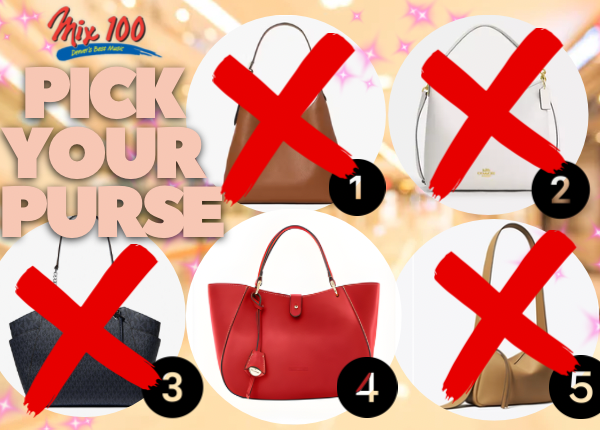 Pick Your Purse