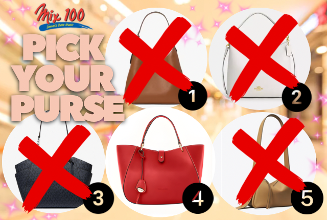 Pick Your Purse