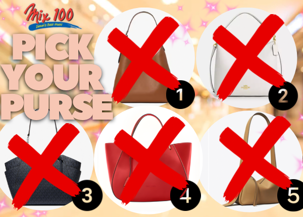 Pick Your Purse