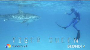 Shark expert Kinga Philipps hosts “Tiger Queen” on Discovery+