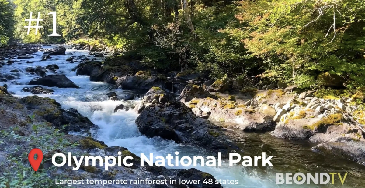 Travel Takes: Olympic National Park