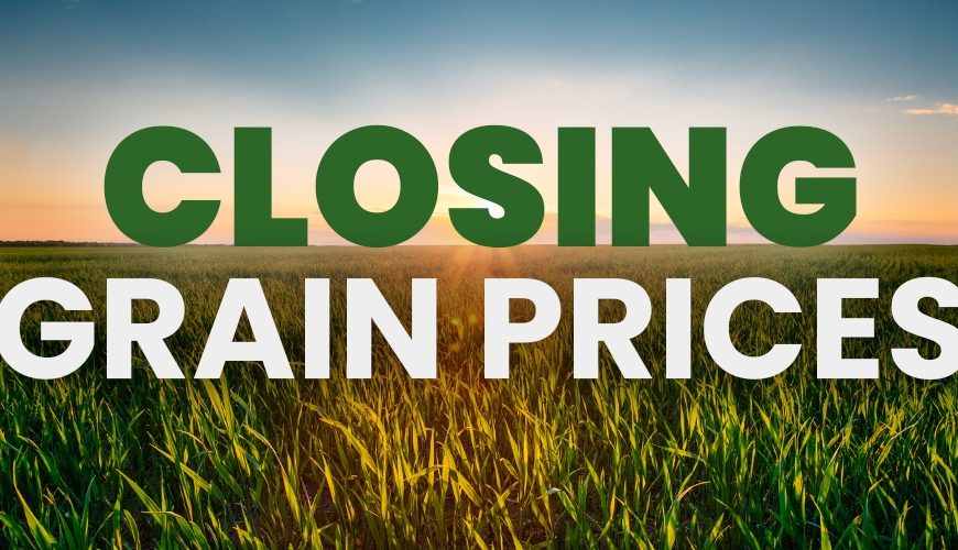 Closing Grain Prices Thursday, June 6