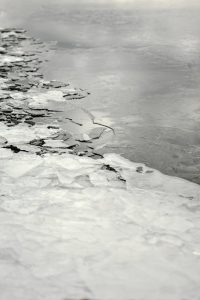 Quick Thinking and High-Tech Tools Lead to Anzac Ice Rescue