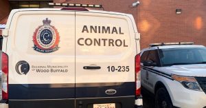 Dog Attack Costs Fort McMurray Owner Thousands in Fines