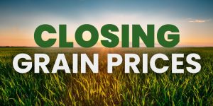 Closing Grain Prices Friday, February 28