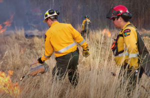 Wildfire Season Begins March 1