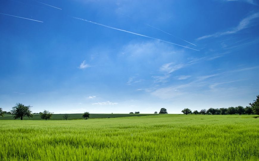 Tranquil rural landscape with lush green field and bright blue sky.