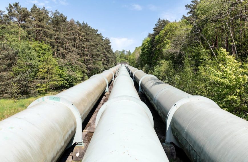 Large industrial pipeline traversing through a green forest in Geesthacht, Germany.