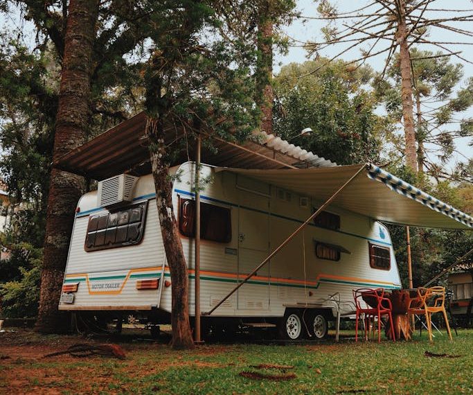 Vintage campervan parked amidst towering trees, offering a serene and rustic outdoor experience.