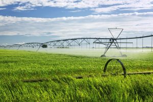Irrigation Development Program Intake Closes