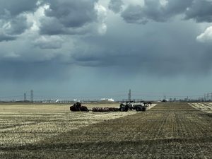 Spring Seeding 32% Complete in Manitoba: Crop Report