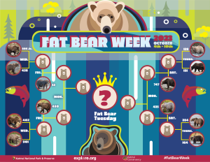 Fat Bear Week is Back!