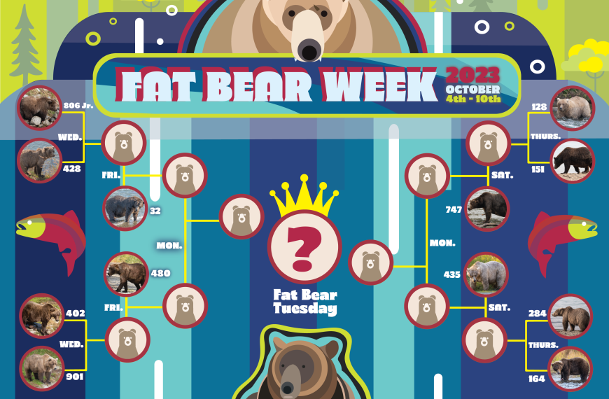 Fat Bear Week is Back!