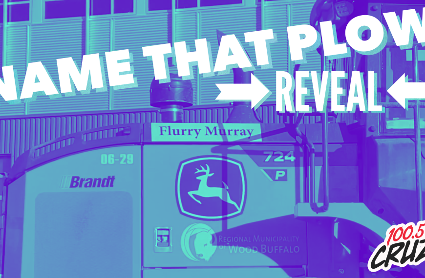 Name That Plow – REVEAL